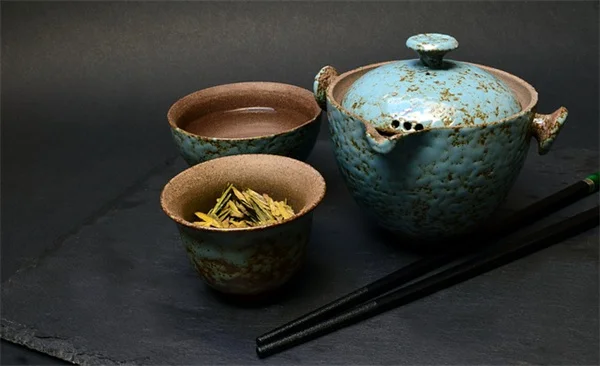 もう迷わない！ランの植え替えタイミングとサイン完全ガイド