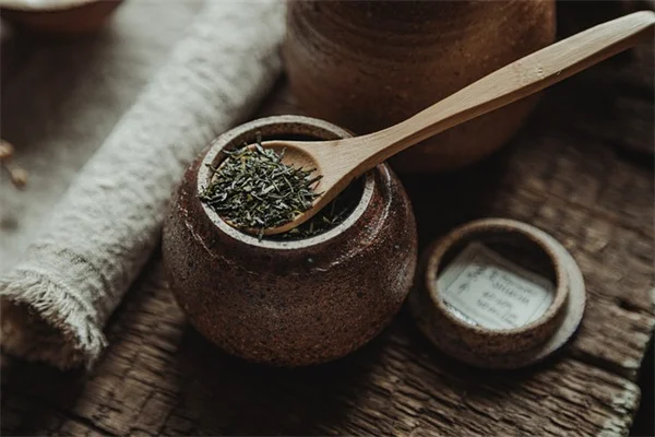 春剪り、やっちゃダメ！私が失敗した7つの植物