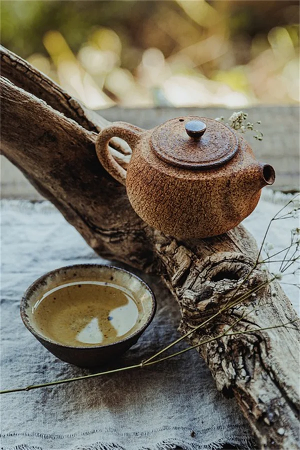 春剪り、やっちゃダメ！私が失敗した7つの植物