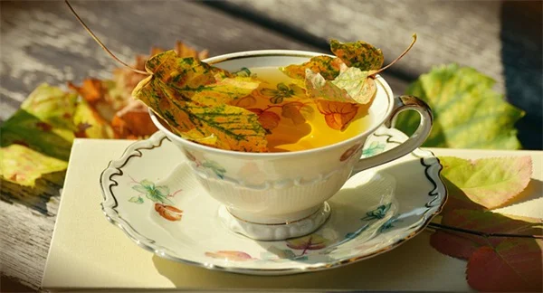 庭で育てた花で作る！おいしい花茶の選び方と淹れ方のコツ